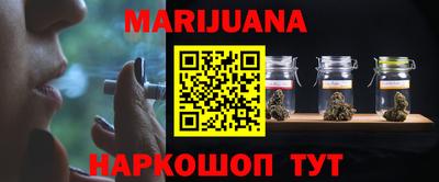 Альфа ПВП Бердск