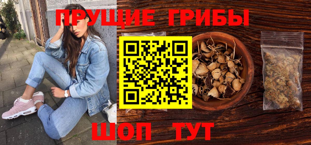 Галлюциногенные грибы Cubensis Нефтекумск