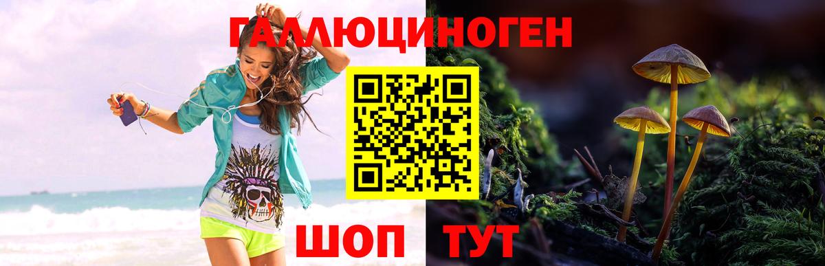 Псилоцибиновые грибы прущие грибы  Вход с VPN  Псилоцибиновые грибы Cubensis  Нефтекумск 